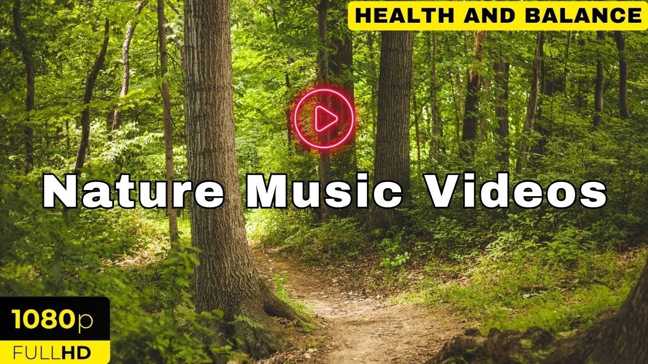 Nature Relaxation Film | Relaxing Music | Nature Bird Sounds, Study