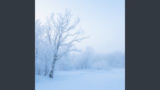 The Winter Came