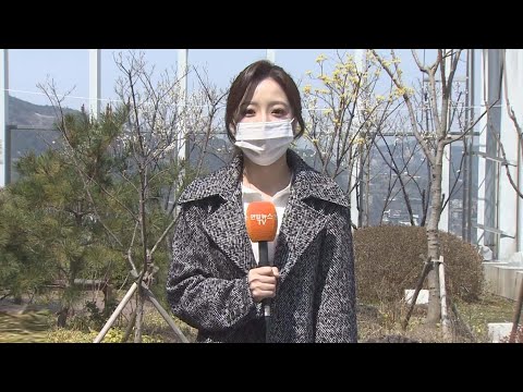[날씨] 맑고 포근한 주말…큰 일교차 유의 / 연합뉴스TV (YonhapnewsTV)