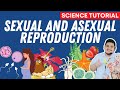 Reproduction sexuelle et asexue  sciences 7 trimestre 2 module 4 semaine 5
