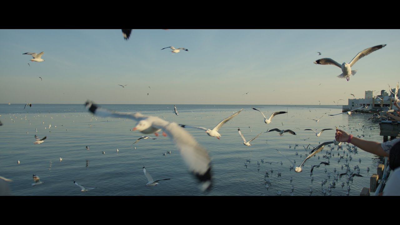 Bang Pu Recreation Center | Thailand | BMPCC6K Pro