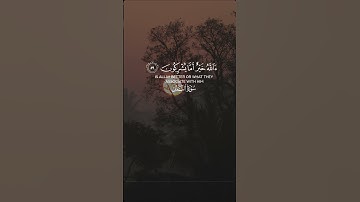 #قرآن #اكسبلور #راحة_نفسية #تلاوة_خاشعة #لايك #ياسر_الدوسري #راحة_نفسية . #اللهم_صلي_على_نبينا_محمد