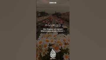 Sourate Hud سورة هود Verset 90 par Sheikh Adel Rayan - الشيخ عادل ريان