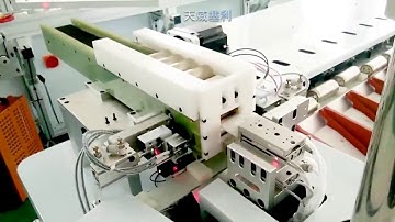 Sorting machine 11 grade