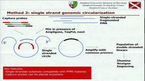 Massively Parallel Validation of Cancer Mutations and Other Variants... - Georges Natsoulis
