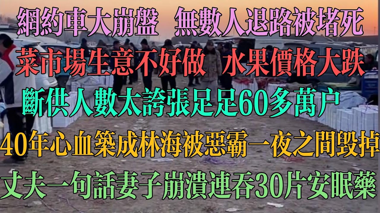 网约车大崩盘，无数人退路被堵死。菜市场没生意，水果价格大跌。断供人数太夸张足足60多万户。40年心血筑成林海，被恶霸一夜之间毁掉。丈夫一句话妻子崩溃连吞30片安眠药。