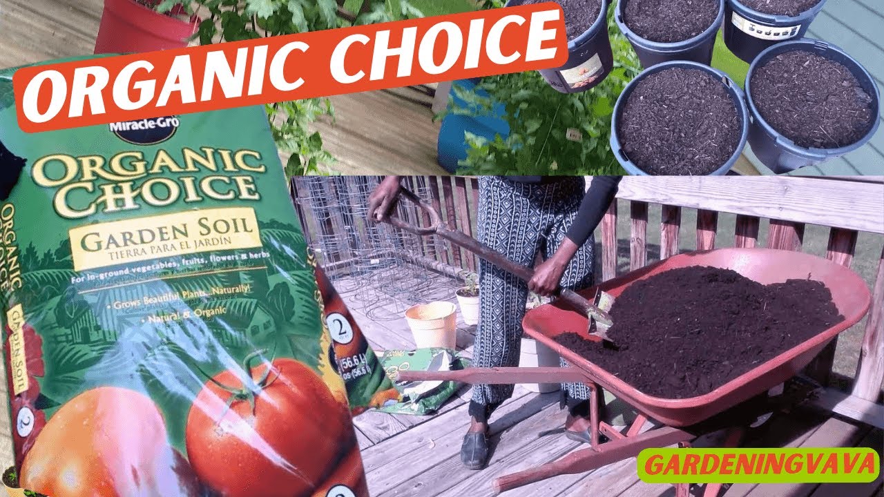 pots for indoor plants Casa De Amor Self Watering Pots for Indoor Plants, Best Flower Pots &