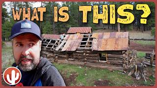 A Forgotten 1800’s Homestead in the Forest | JD Cabin | Williams, AZ