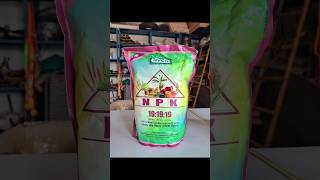 NPK 19 19 19 water soluble fertilizer 🌿|#shorts #garden