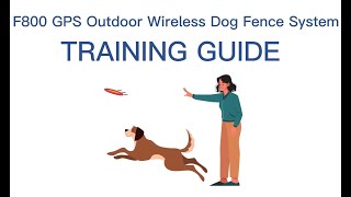 Pawious Dog Fence F800  DOG Training Video, stepbystep instruction.