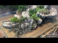 Penjing : l'Ile, un mélange de paludarium, d'aquascaping et de paysagisme végétal