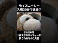 滞在時間20分！53000円 ダッフィー Lサイズを購入