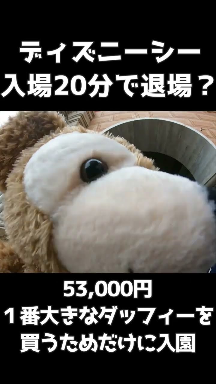 Stayed for 20 minutes! 53,000 yen Purchased a large Duffy