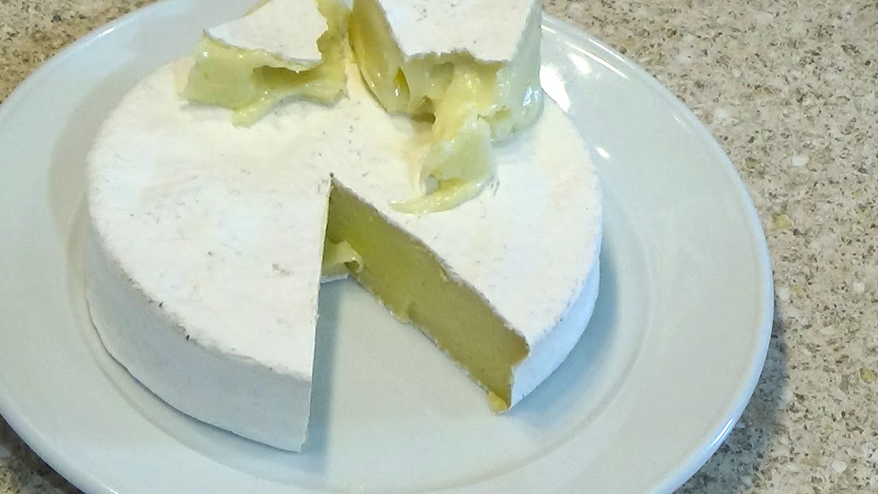КАМАМБЕР ИЗЫСКАННЫЙ СЫР! Camembert cook at home YouTube