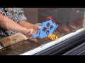 Store Opening Teaser 2