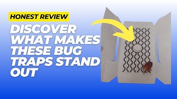 I Tried BugMD’s Cockroach Catcher… Here’s the Shocking Result!