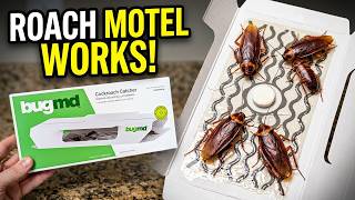 This BugMD Roach Trap Catches More Than Expected!
