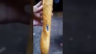 شاهد خبز لاكوست في الجزائر ربي يستر Pain Lacoste