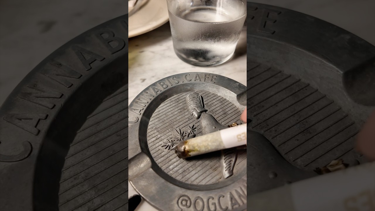 OG Cannabis Cafe West Hollywood 