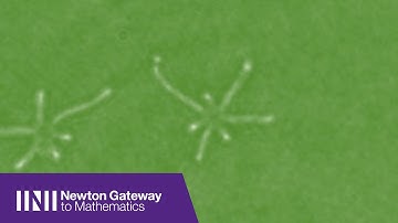 Prof. Monica Olvera de la Cruz | Dynamics of Ions in Confinement