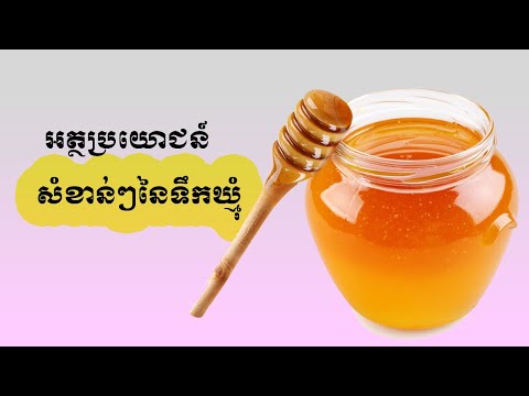 អត្ថប្រយោជន៍ទឹកឃ្មុំ - Benefit of Honey Bee