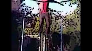 Backyard Trampoline Flips