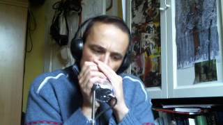 Deak Harp cover practice - harmonica loop
