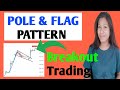 POLE AND FLAG PATTERN | Bullish POLE & FLAG Breakout Trading | FLAG PATTERN Strategy | @MunniDas566