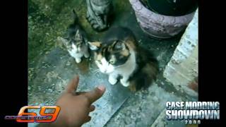 Codename: 69 Case Mod - Cats & Modding - Part 17 (DAY 10)