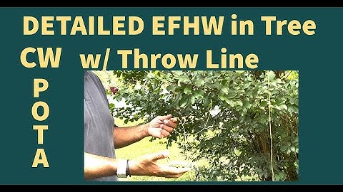How Do I Get My EFHW or Wire Antenna Into the Tree? PART 2  - Details Using a Throwline