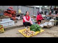 Harvesting Bamboo Shoots, Process find bamboo shoots sell at farmers market / Đặng Lưu