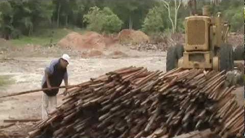 Deforestation and Climate Change