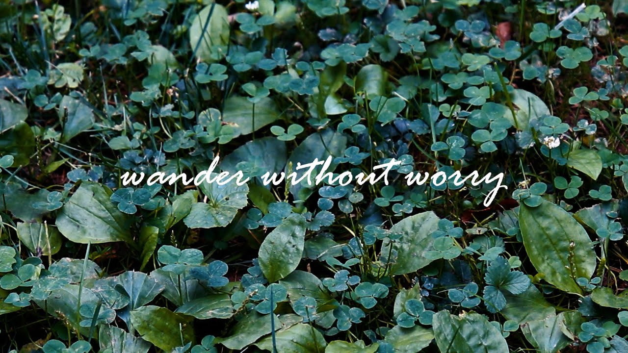 Elise Madeline - wander without worry (official lyric video)