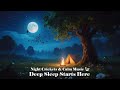 Night Crickets And Sleep Music ЁЯМЩ Relaxing Nature Sounds For Deep Sleep Stress Relief Night Crickets And Sleep Music ЁЯМЩ Relaxing Nature Sounds For Deep Sleep Stress Relief