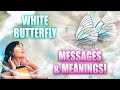 White Butterfly Meaning - What You Need to Know Right Now