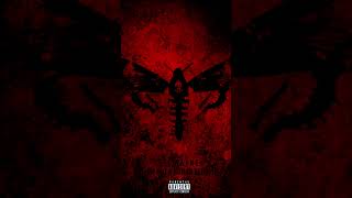 Lil Wayne - Weed, Pills &amp; Dat Drank. Epic Demonic Ending. (Trippy) (2013) (IANAHB2) #YoutubeShorts