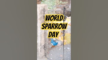World Sparrow Day | Sparrows | Yung DSA - Yeda Yung 🌏🐦 #shorts #viralvideo #trending #viralshorts