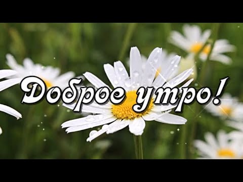 Доброе утро! Какой бы погода сейчас ни была, желаю тебе я отличного дня!