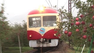 長野電鉄2010年 ED5001電機＆リンゴと2000系りんご電車（D編成）実りの秋を行く 2010年11月　　HDV 1741