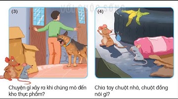 kể chuyện lớp 1 chuột nhà và chuột đồng sách kết nối tri thức với cuộc sống