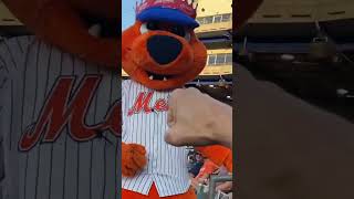 Syracuse Mets