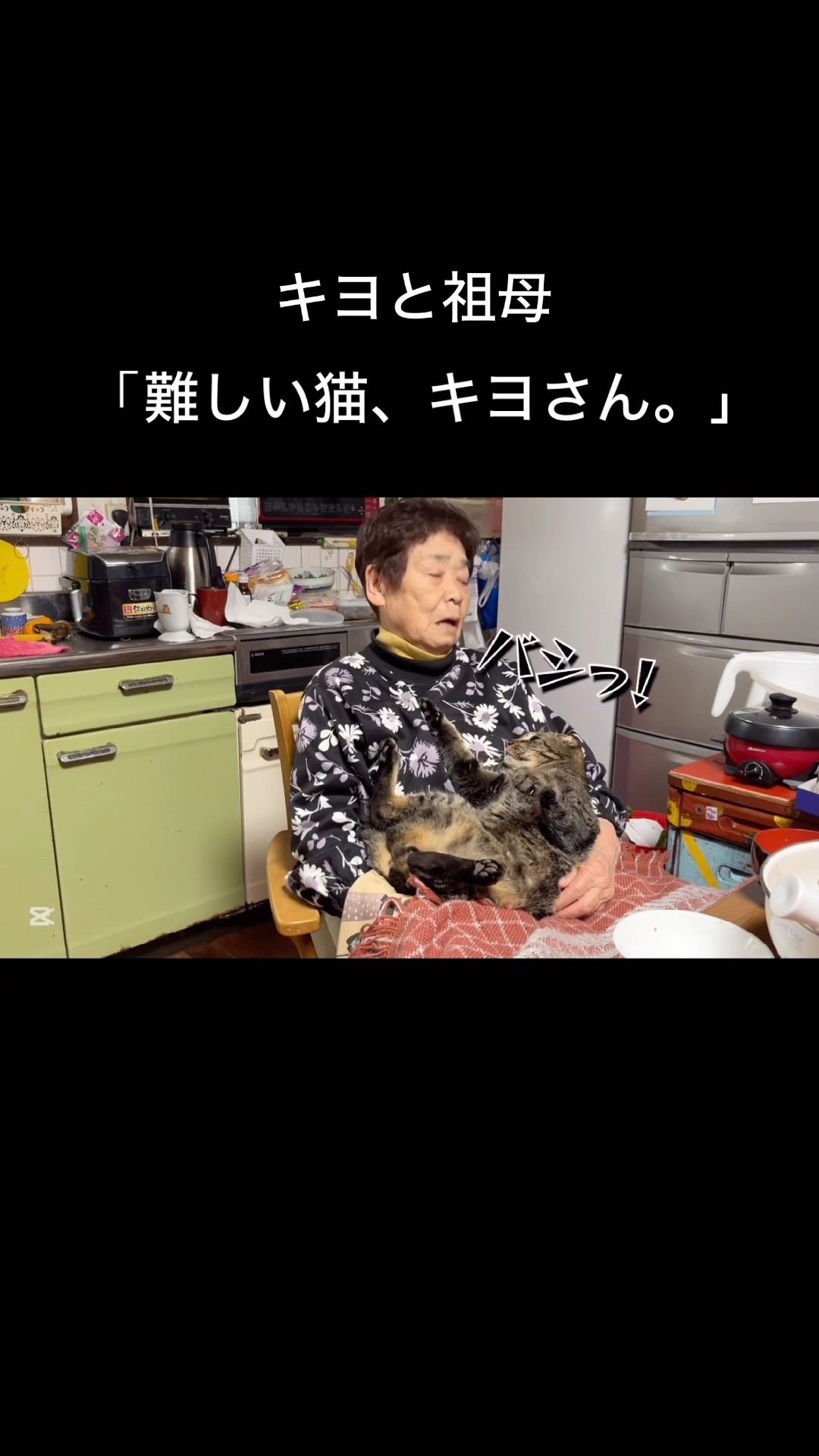 キヨと祖母(アラサーニートと4匹の猫) - YouTube