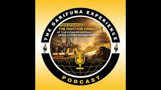Episode 43: The Fight for Visibility at the Congressional Afro-Latino Roundtable