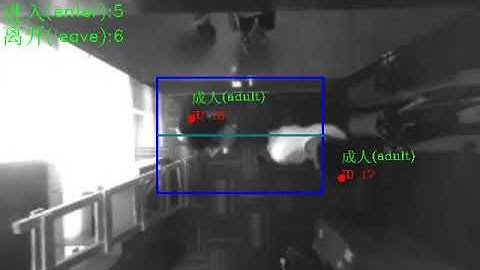 HX-CCD20 Differentiation between adults and children