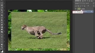 To Copy A Layer Within The Same Document | Photoshop | Computer Training | Periwinkle