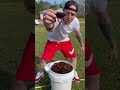 How to clean crawfish