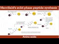 Merrifields solid phase peptide synthesis