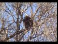 Bosque del Apache: Ancient Flyway of the Rio Grande