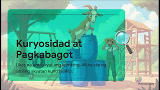 The Agri-Sentience Log: Goat Ambition and Chaos Management
