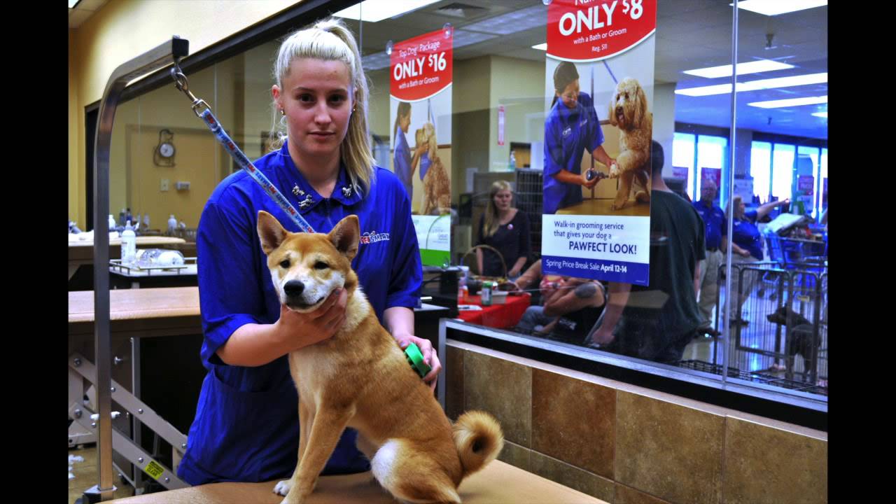 Environmental Portrait Of Dog Groomer YouTube